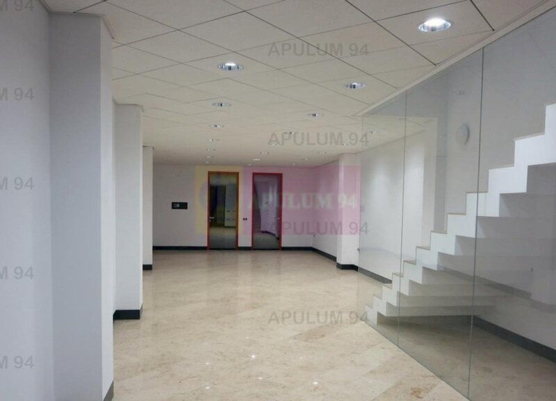 Imobil de Lux Zona Dacia Eminescu 450 MP Pretabil Birouri | Business