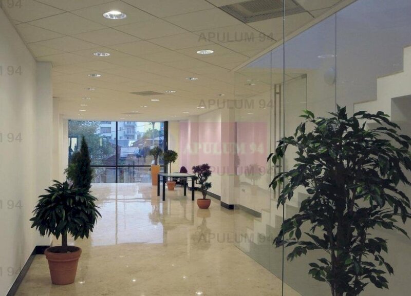 Imobil de Lux Zona Dacia Eminescu 450 MP Pretabil Birouri | Business