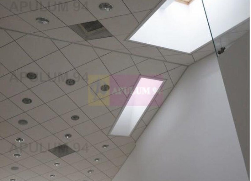 Imobil de Lux Zona Dacia Eminescu 450 MP Pretabil Birouri | Business